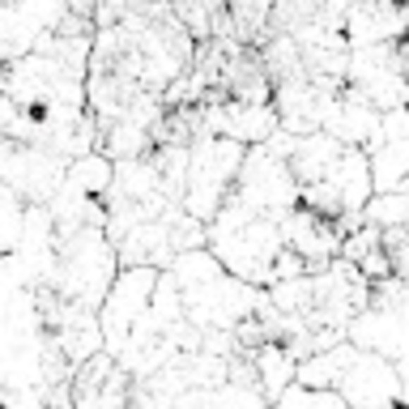 Meet your Posher, Jeremiah - Picture 1 of 1